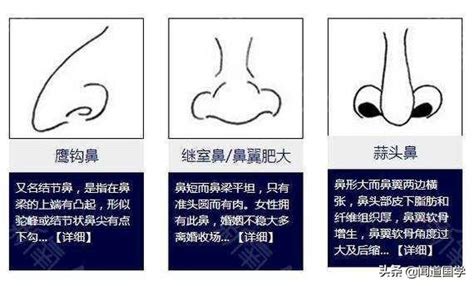 鼻子 面向|面相學之鼻型解析、全面解讀鼻子與命運